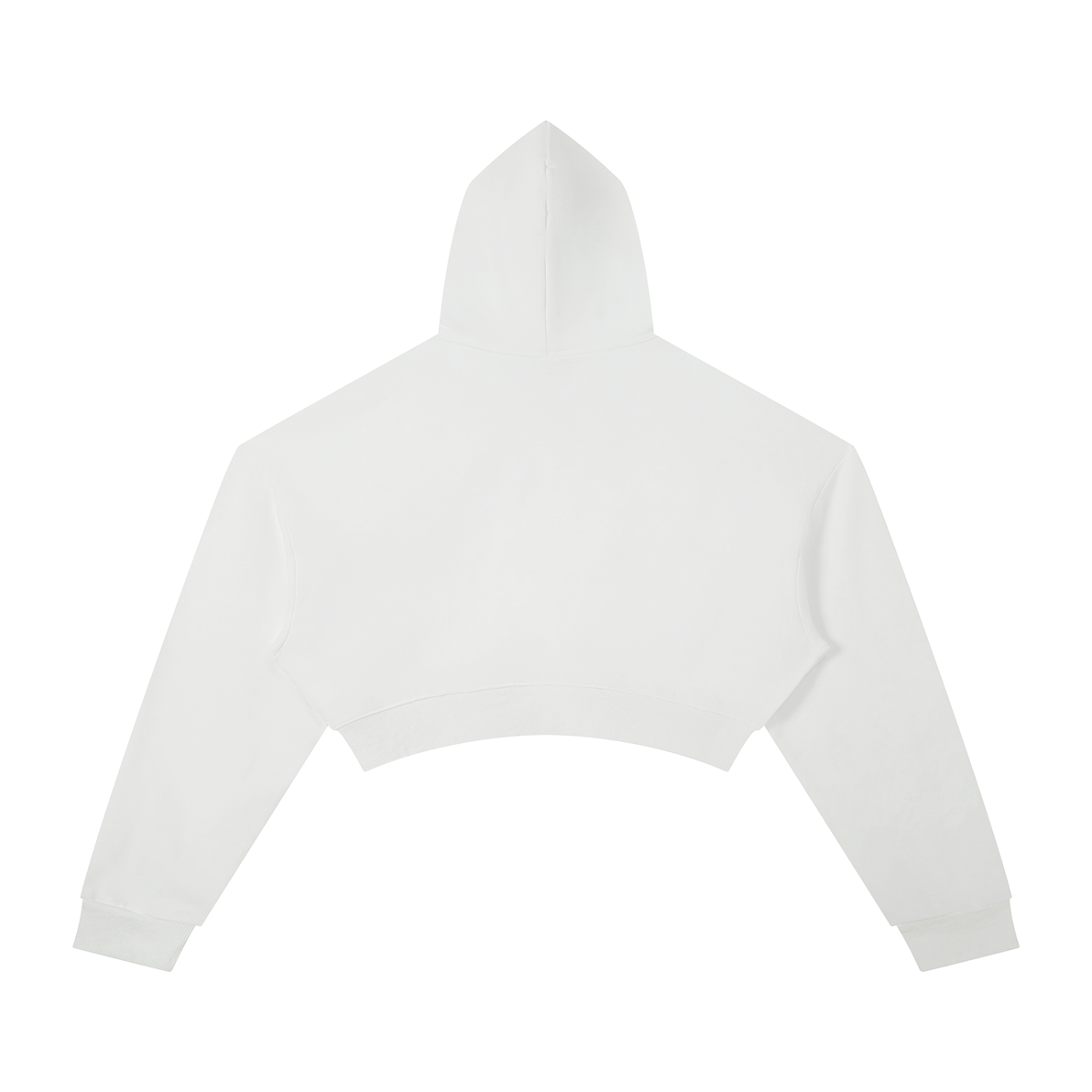PLP Cropped Hoodie